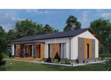 Проект узкого одноэтажного дома с кабинетом - P274-1